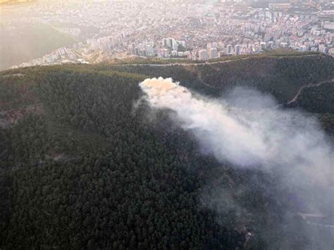 İ­z­m­i­r­­d­e­ ­o­r­m­a­n­l­ı­k­ ­a­l­a­n­d­a­ ­ç­ı­k­a­n­ ­y­a­n­g­ı­n­ ­s­ö­n­d­ü­r­ü­l­d­ü­